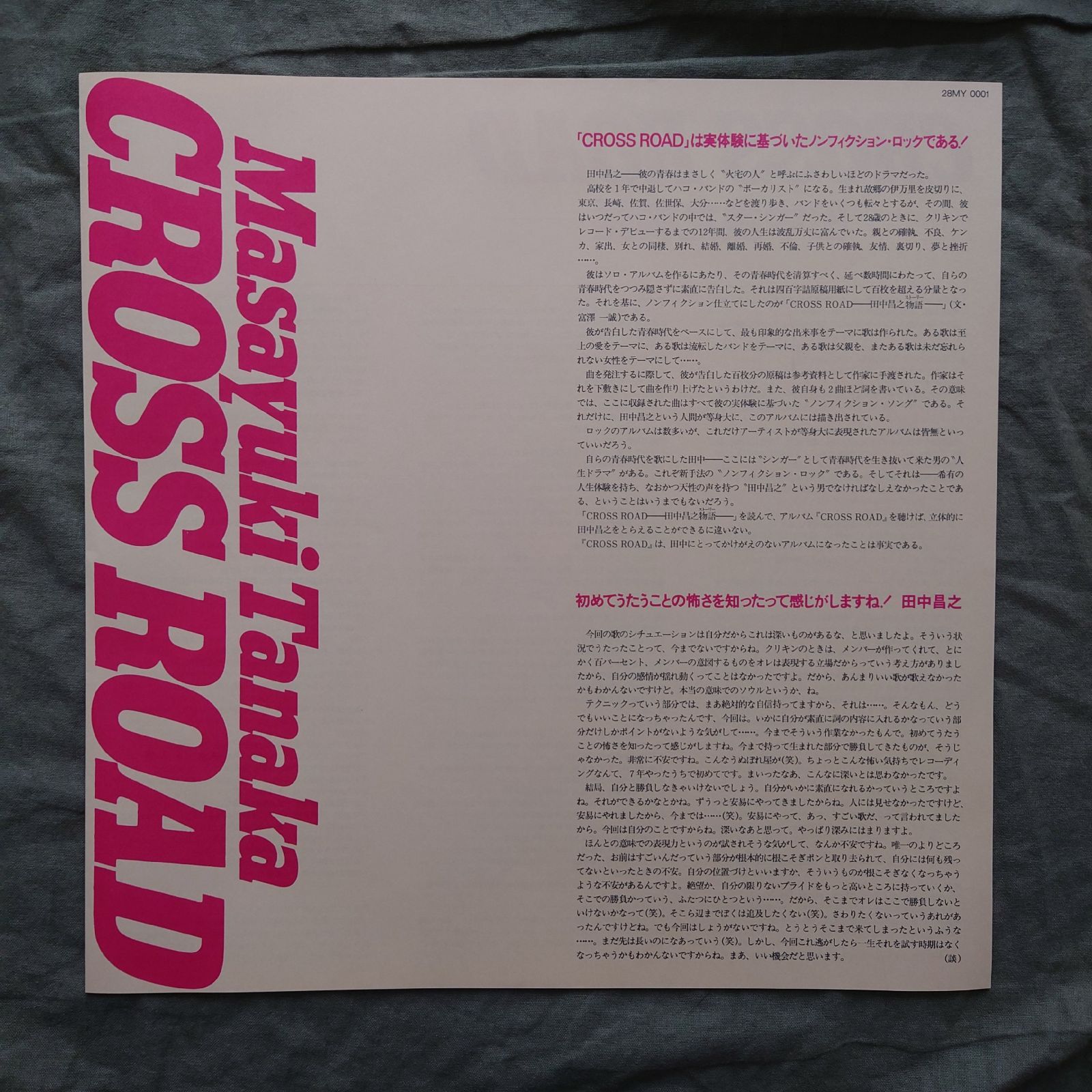 傷なし美盤 美ジャケ ほぼ新品 激レア 両面マト111 1986年 田中昌之 LP