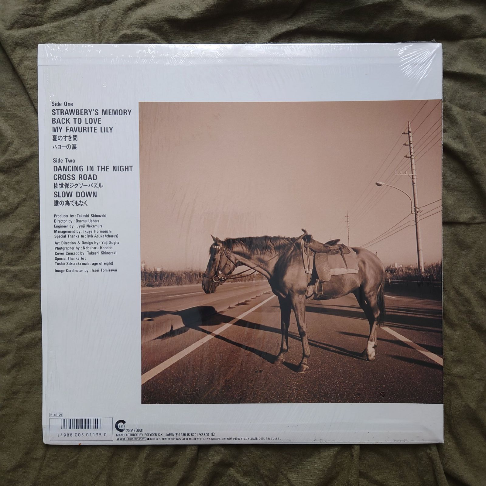 傷なし美盤 美ジャケ ほぼ新品 激レア 両面マト111 1986年 田中昌之 LP