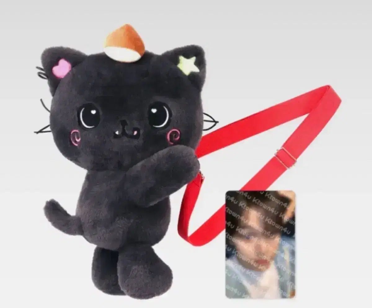 NCT WISH ぬいぐるみ ペンライト バッグ リク NCT WISH リク バッグ ぬいぐるみ ウィッシュドール ペンライトバッグ