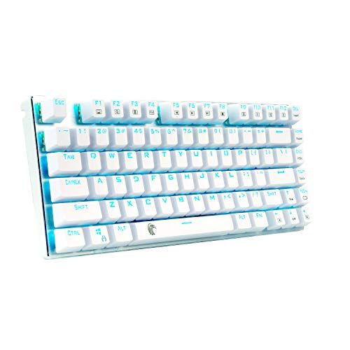 [Brand New] Gaming Keyboard, Mechanical Keyboard, USB Connection, Wired, 81 Keys, Anti-Ghost Keys, LED Backlight, Waterproof Function, English Arrangement for Gamers (Blue Axis/White), 2f5ba999