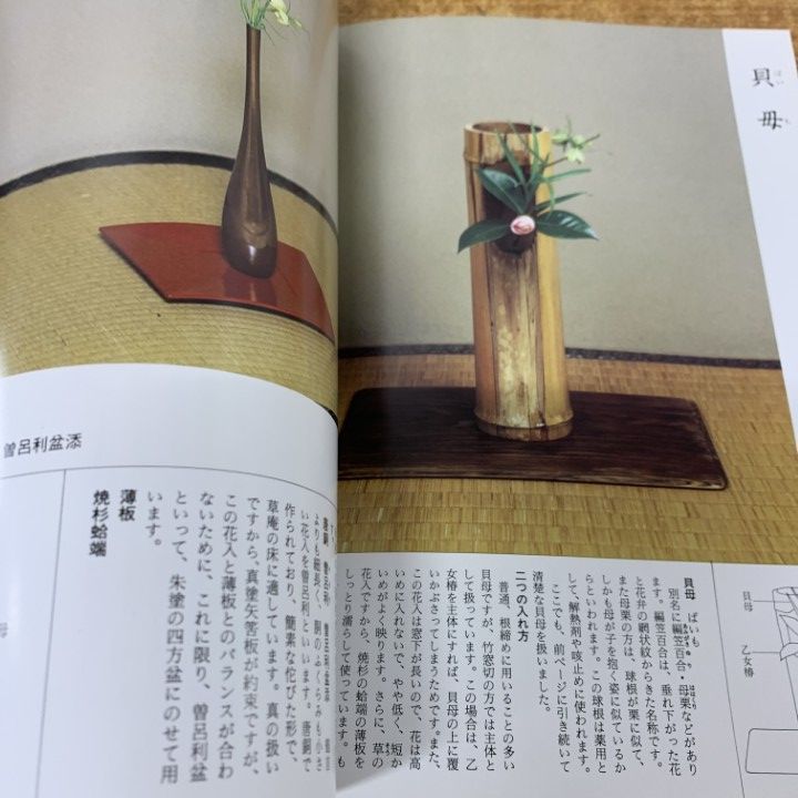 茶の湯実践講座 8冊セット 茶の湯実践講座 朝茶事 | 書籍,茶道書,茶の湯実践講座 | 淡交社 本の
