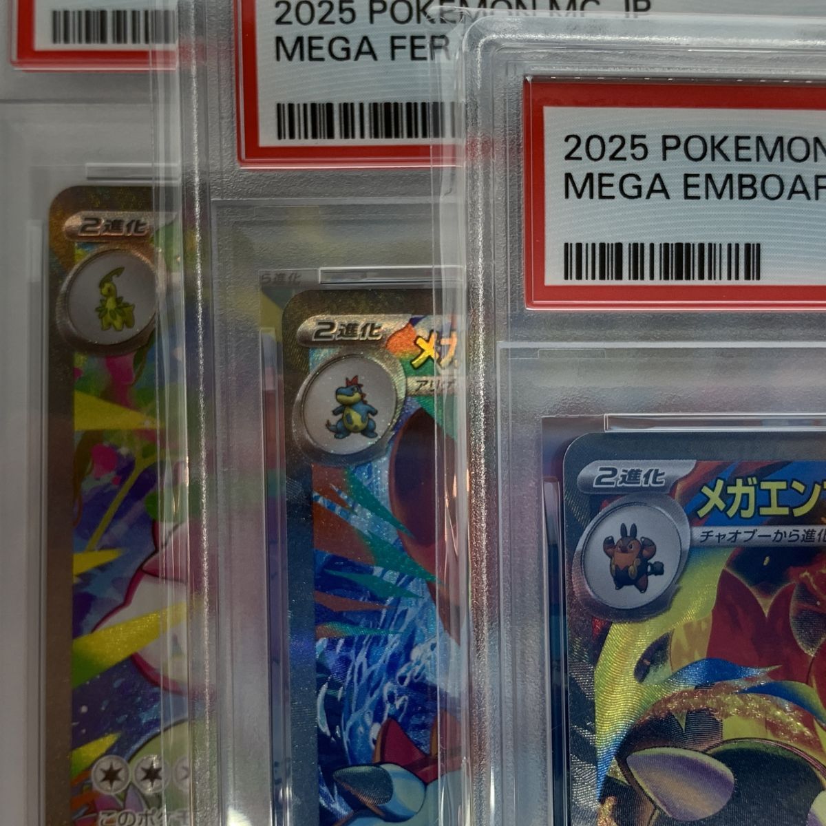 PSA10・三連番】ポケモンカード メガニウムex メガオーダイルex メガ