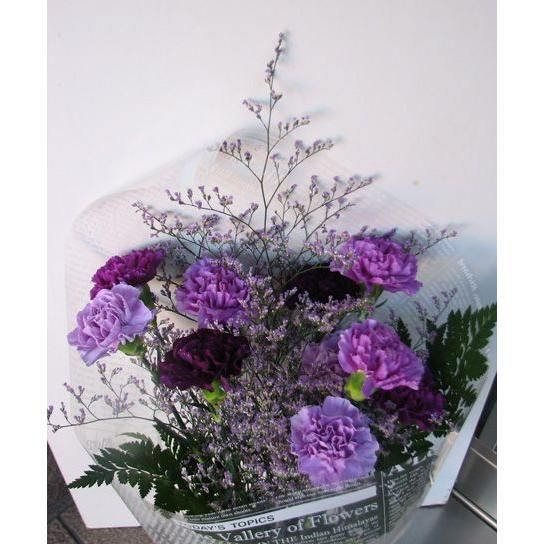 ２０２６年母の日ギフトに！！ムーンダストの花束７本 送料無料ギフトです。