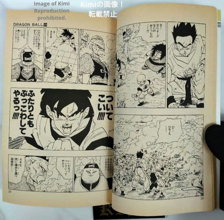 ドラゴンボール 初版 DRAGON BALL 29巻 第29巻 初版ドラゴンボール 0