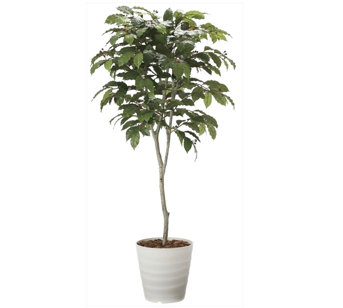 光触媒　人工観葉植物　ウォールグリーン　フェイクグリーン　コーヒーツリー180 光触媒 人工観葉植物 ウォールグリーン フェイクグリーン コーヒー