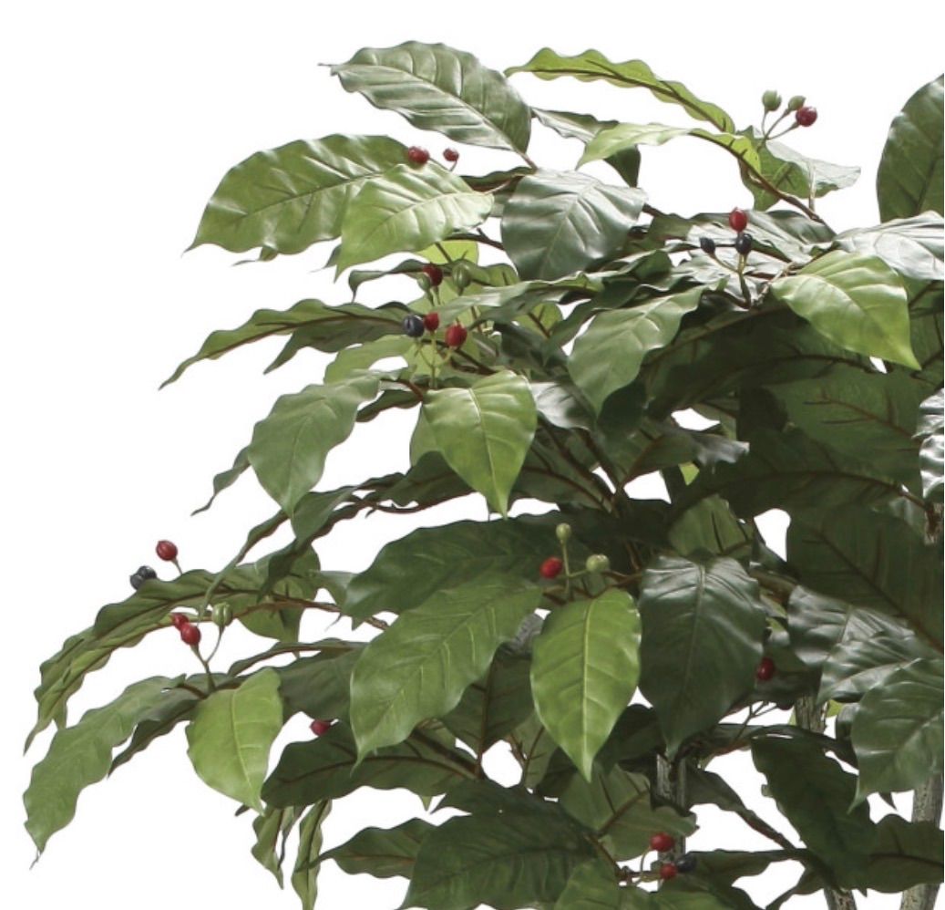 光触媒 人工観葉植物 ウォールグリーン フェイクグリーン コーヒー