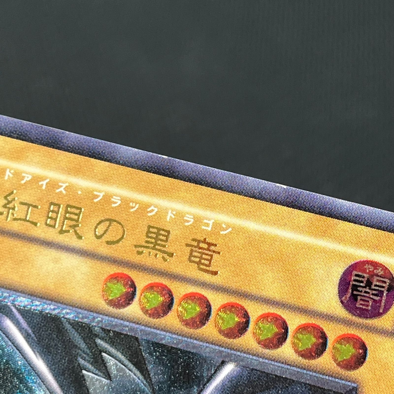 遊戯王 真紅眼の黒竜 レッドアイズブラックドラゴン レリーフ