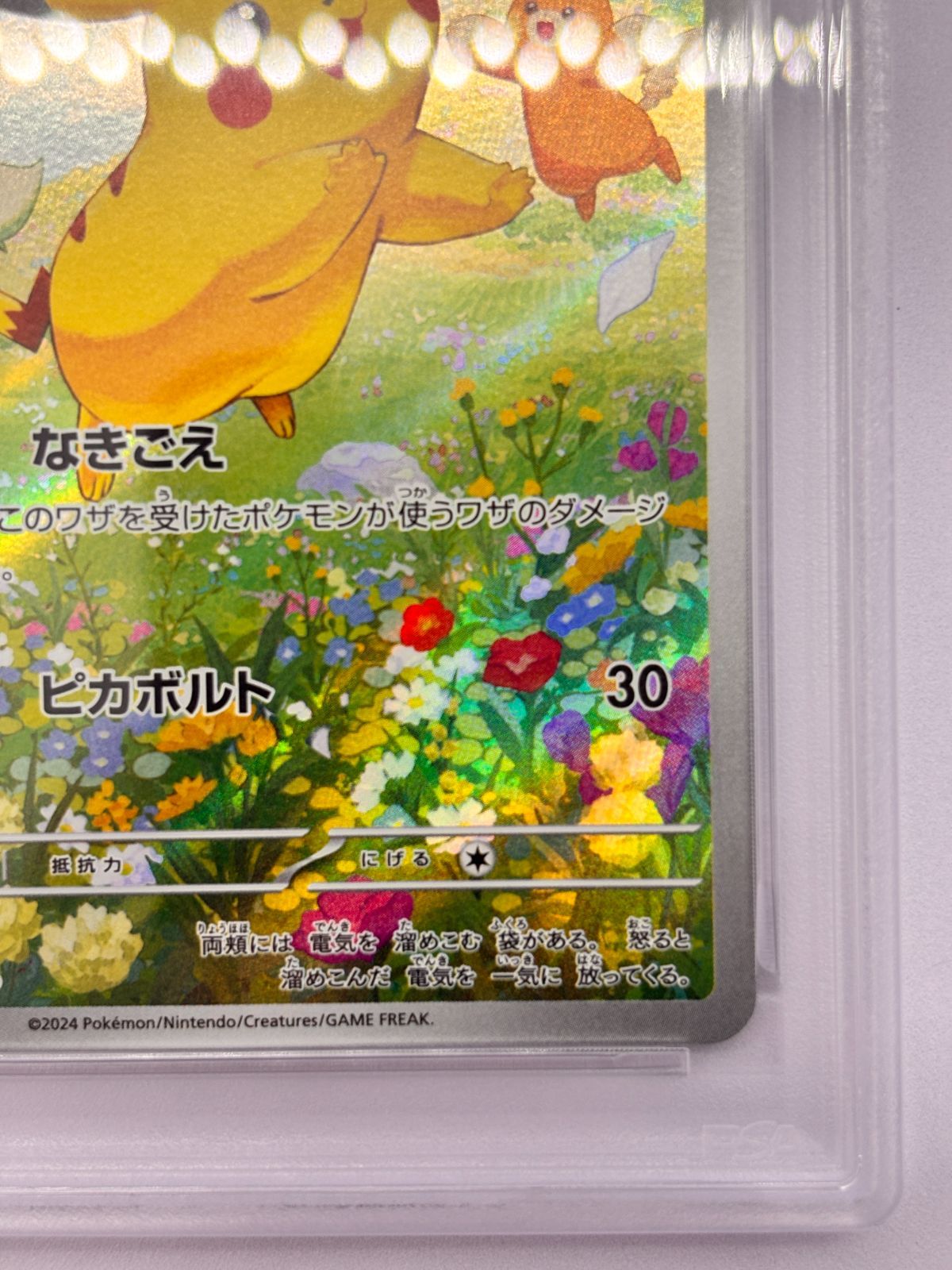 PSA10】ピカチュウ：ポケカの夏がキタ！プロモカードGetキャンペーン