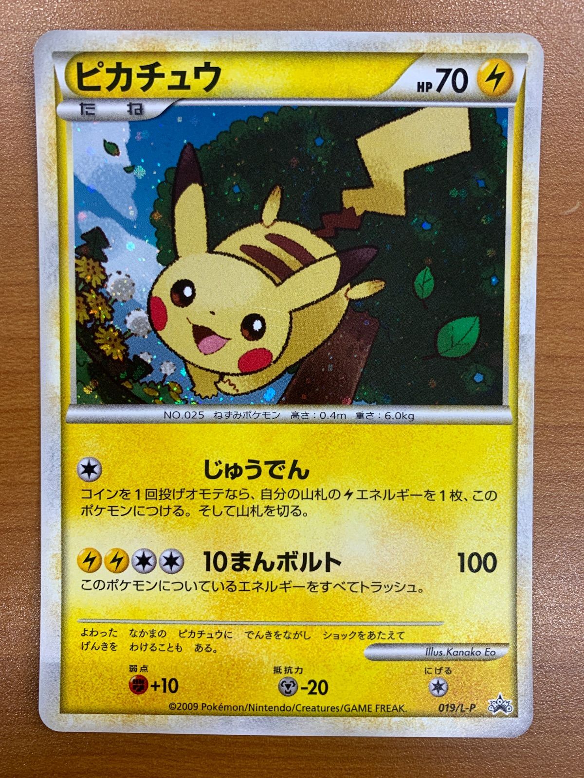 ピカチュウ プロモ 019/L-P ホロ キラ ポケモンだいすきクラブ PROMO