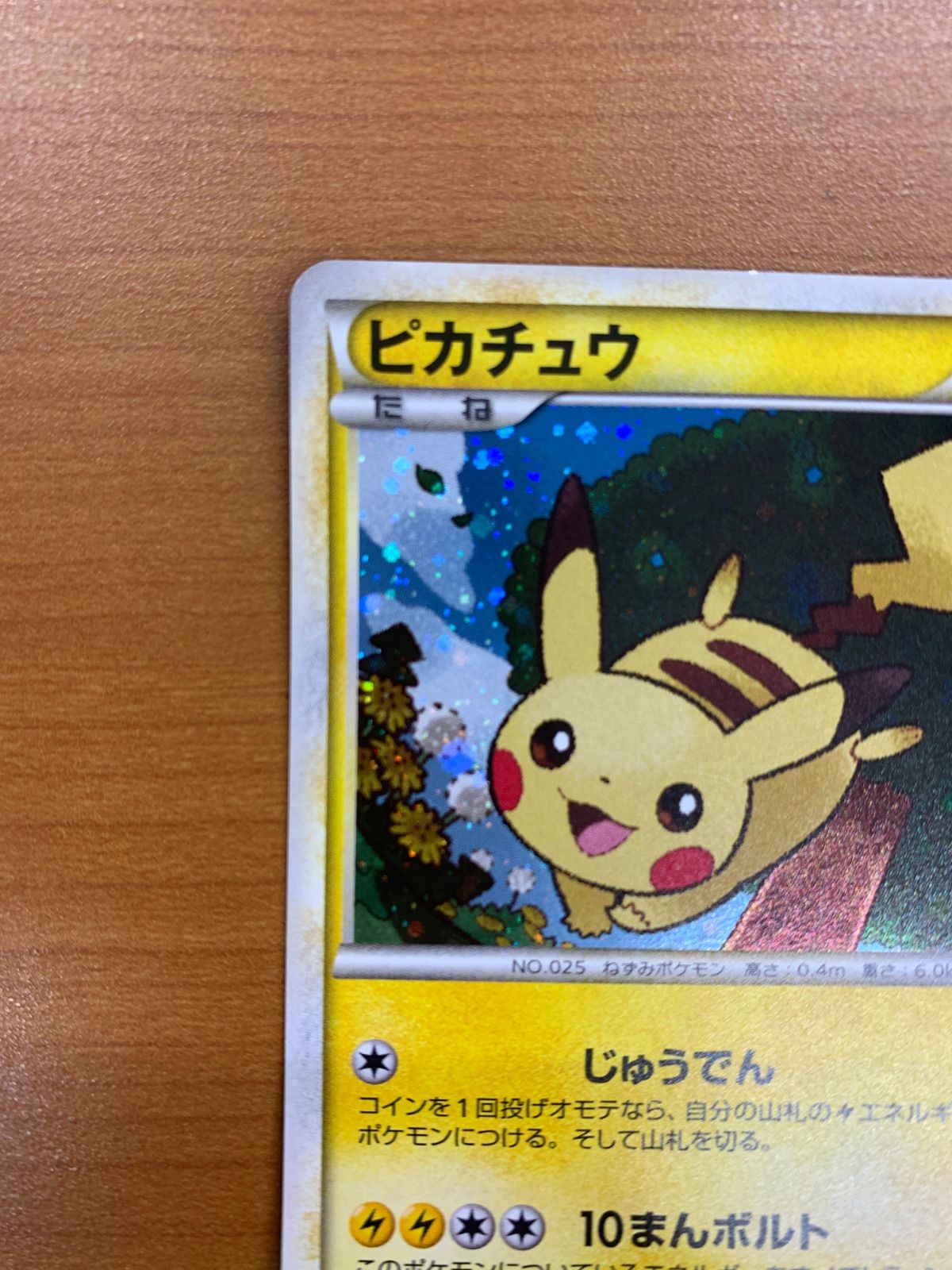 ピカチュウ 019/L-P PROMO だいすきクラブ ピカチュウ プロモ 019/L-P ホロ キラ ポケモンだいすきクラブ PROMO