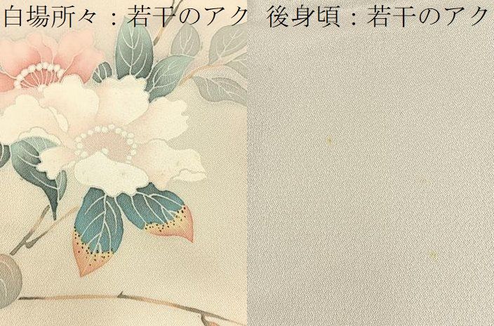 平和屋着物□訪問着 友禅 枝花文 暈し染め 正絹 逸品 BAAW9687hj