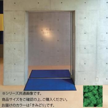 インドアマット　ブライトマットII　12号　90×120cm　きみどり