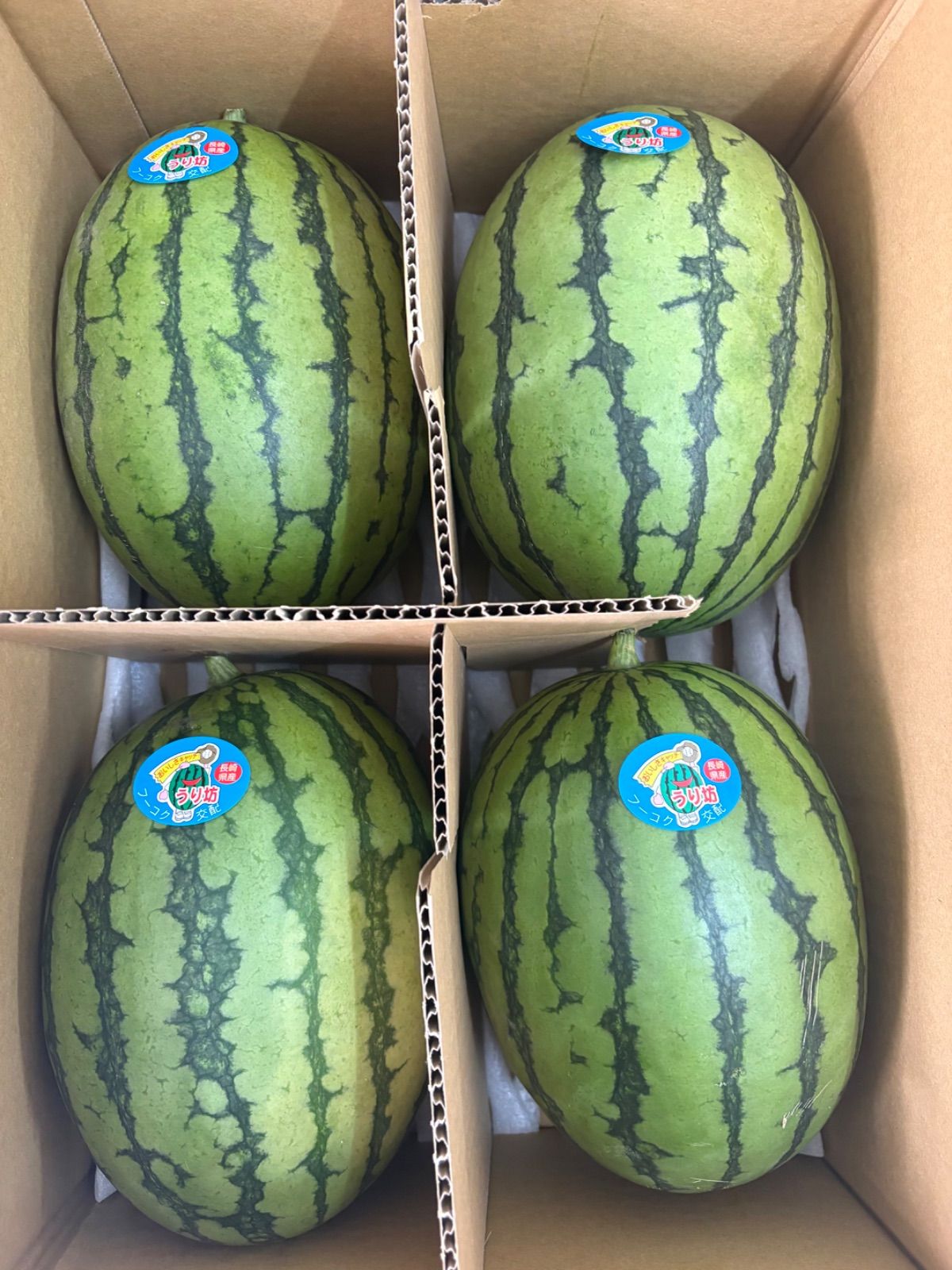 産地直送小玉スイカうりぼう4玉入り！箱込9.5キロ前後