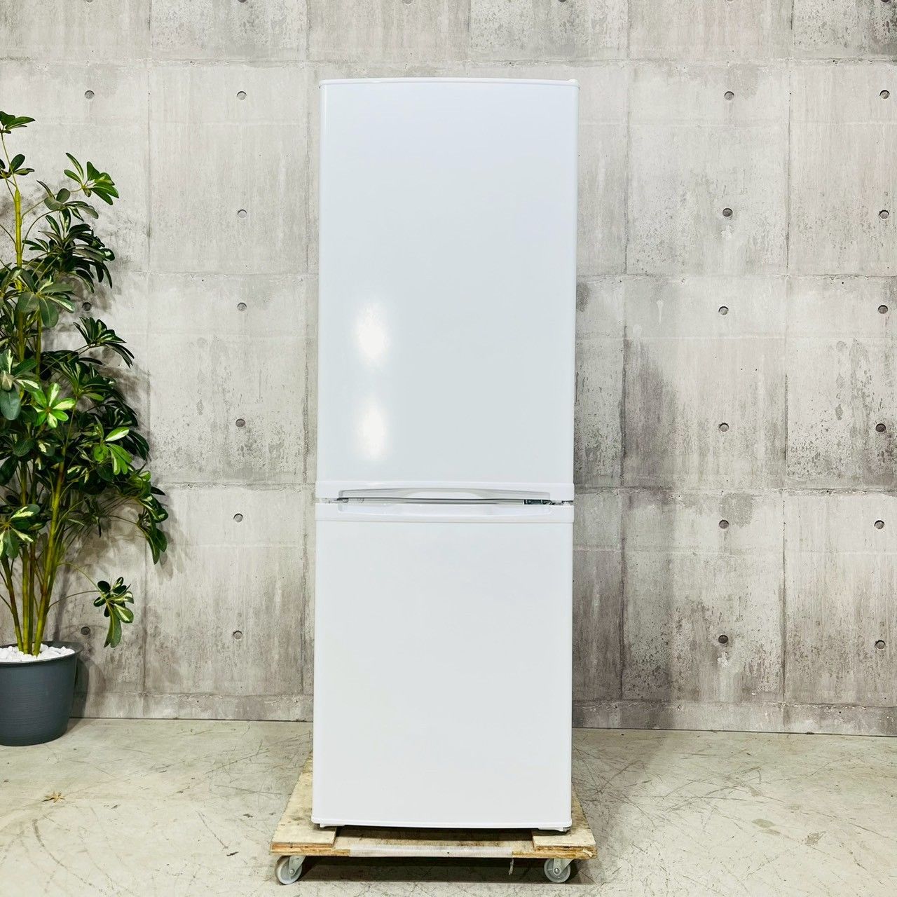 冷蔵庫 ♦️maxzen a5184 2ドア冷蔵庫 173L 2022年製 -♦️ - メルカリ