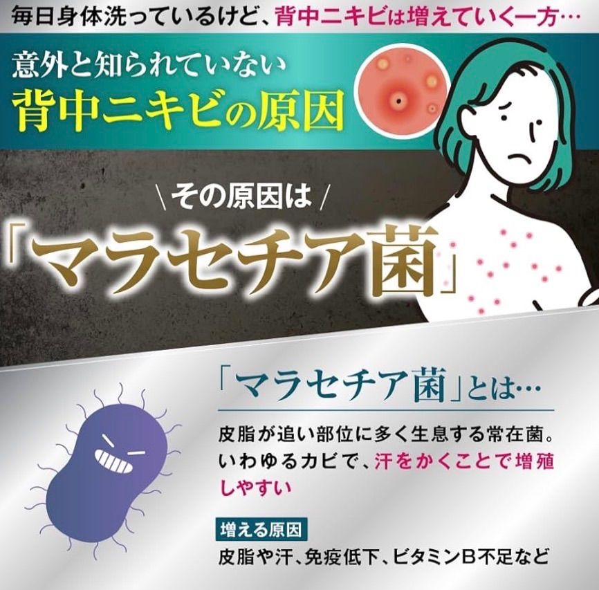 セナクリアライト3本 - メルカリ