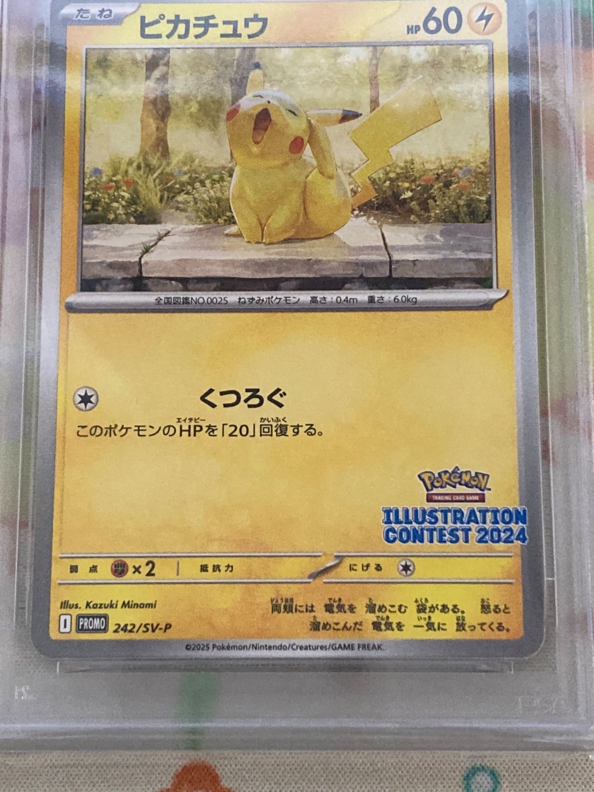 ピカチュウ イラストレーションコンテスト2024 PSA10 ポケカ PSA10