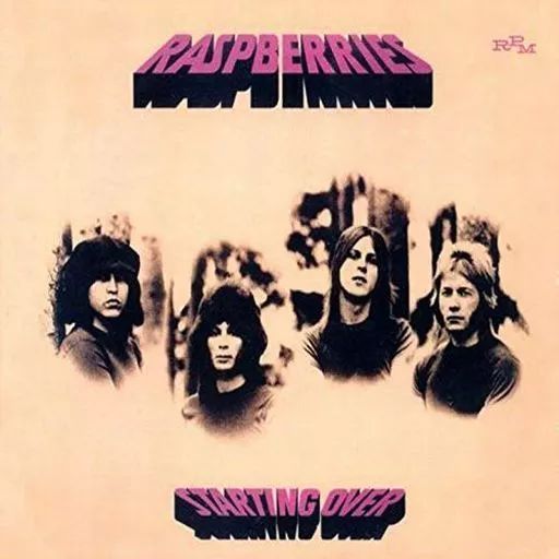 中古洋楽CD ラズベリーズ &frasl; 素晴らしき再出発[紙ジャケット仕様]