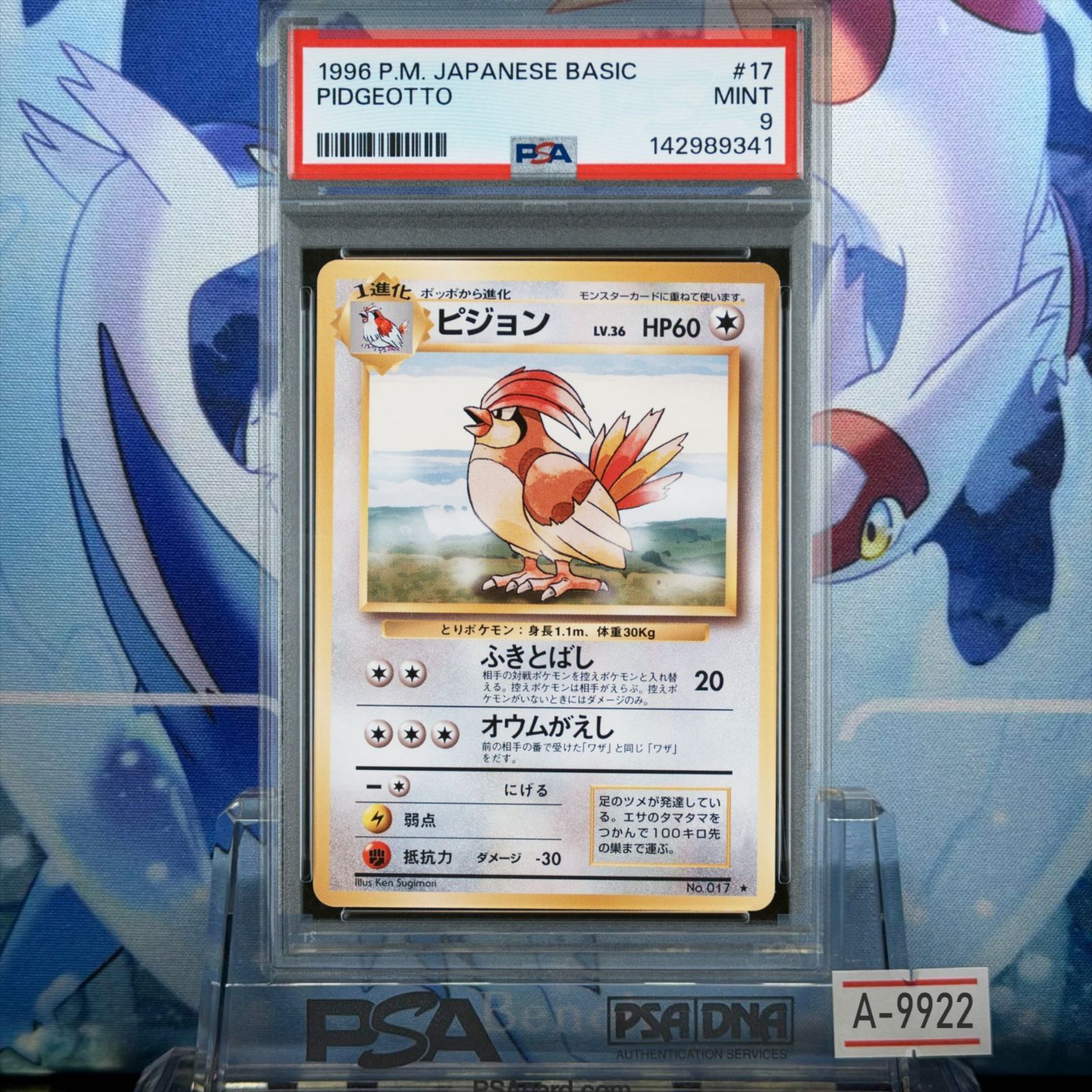 再販 旧裏 ピジョン PSA9 017 PSA - 0 拡張パック第1弾 LV.36 PMCG