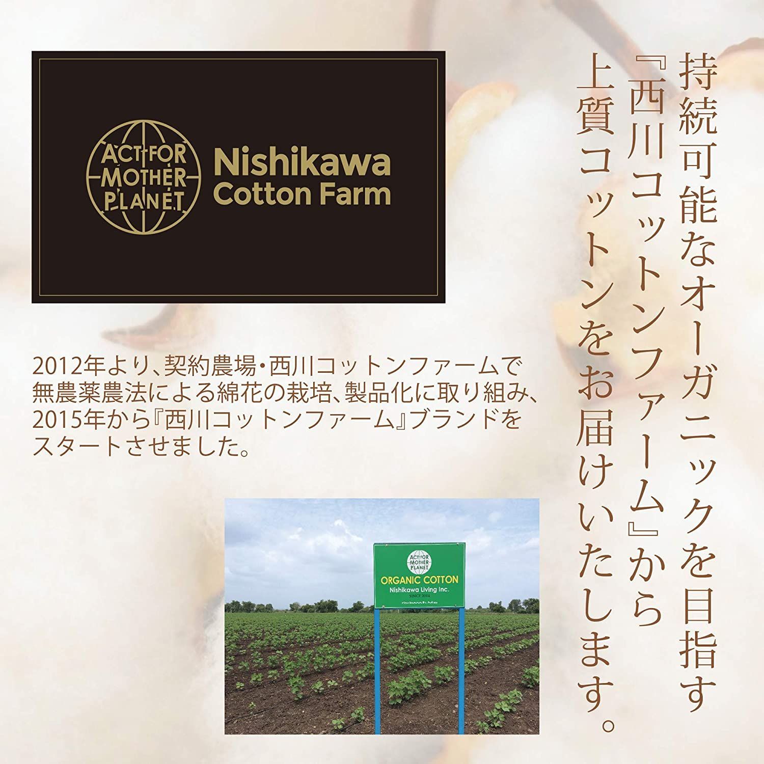 本州送料無料 西川 敷き毛布 シングル 日本製 オーガニックコットン 綿 シール織 ふんわり ふわふわ 柔らか