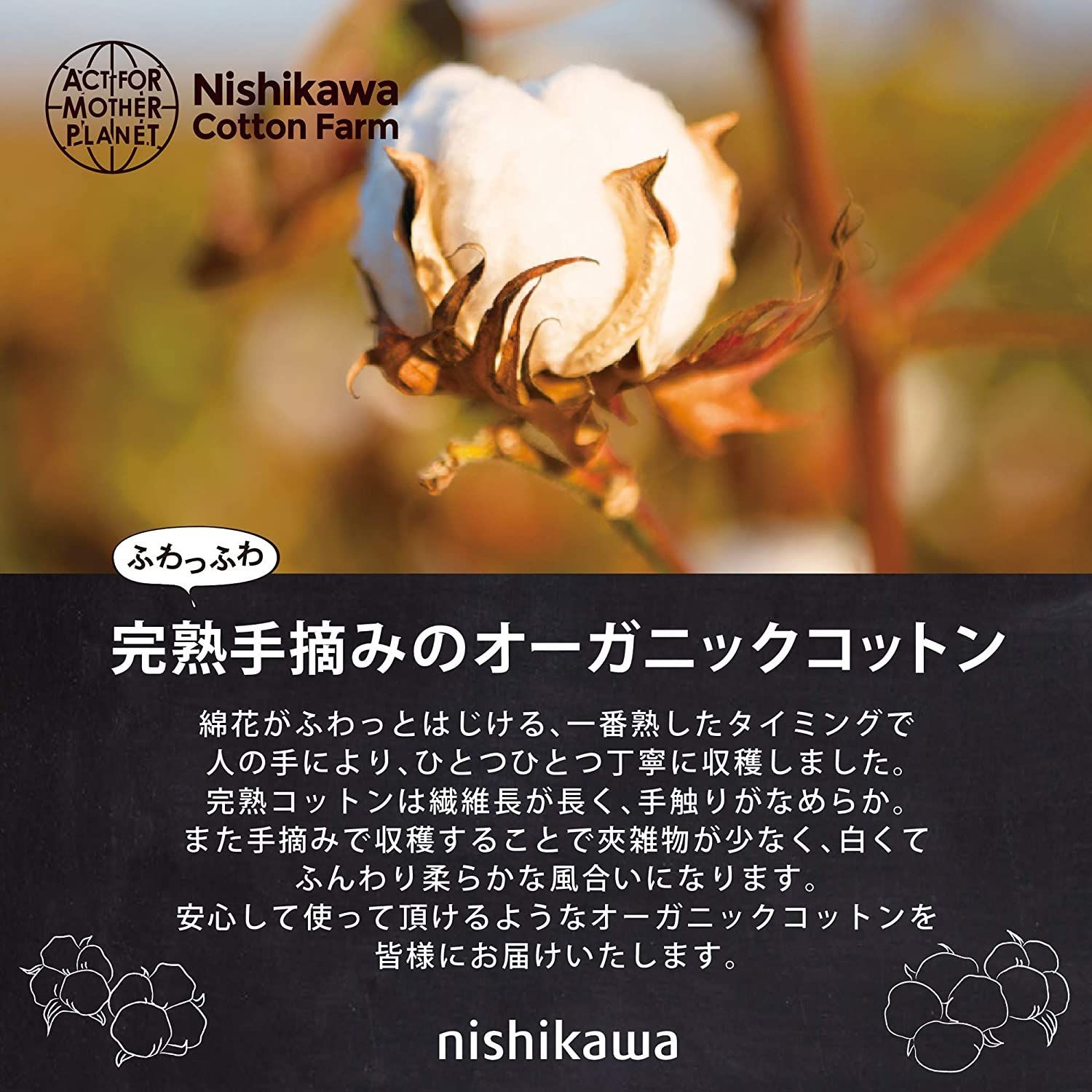 本州送料無料 西川 敷き毛布 シングル 日本製 オーガニックコットン 綿 シール織 ふんわり ふわふわ 柔らか