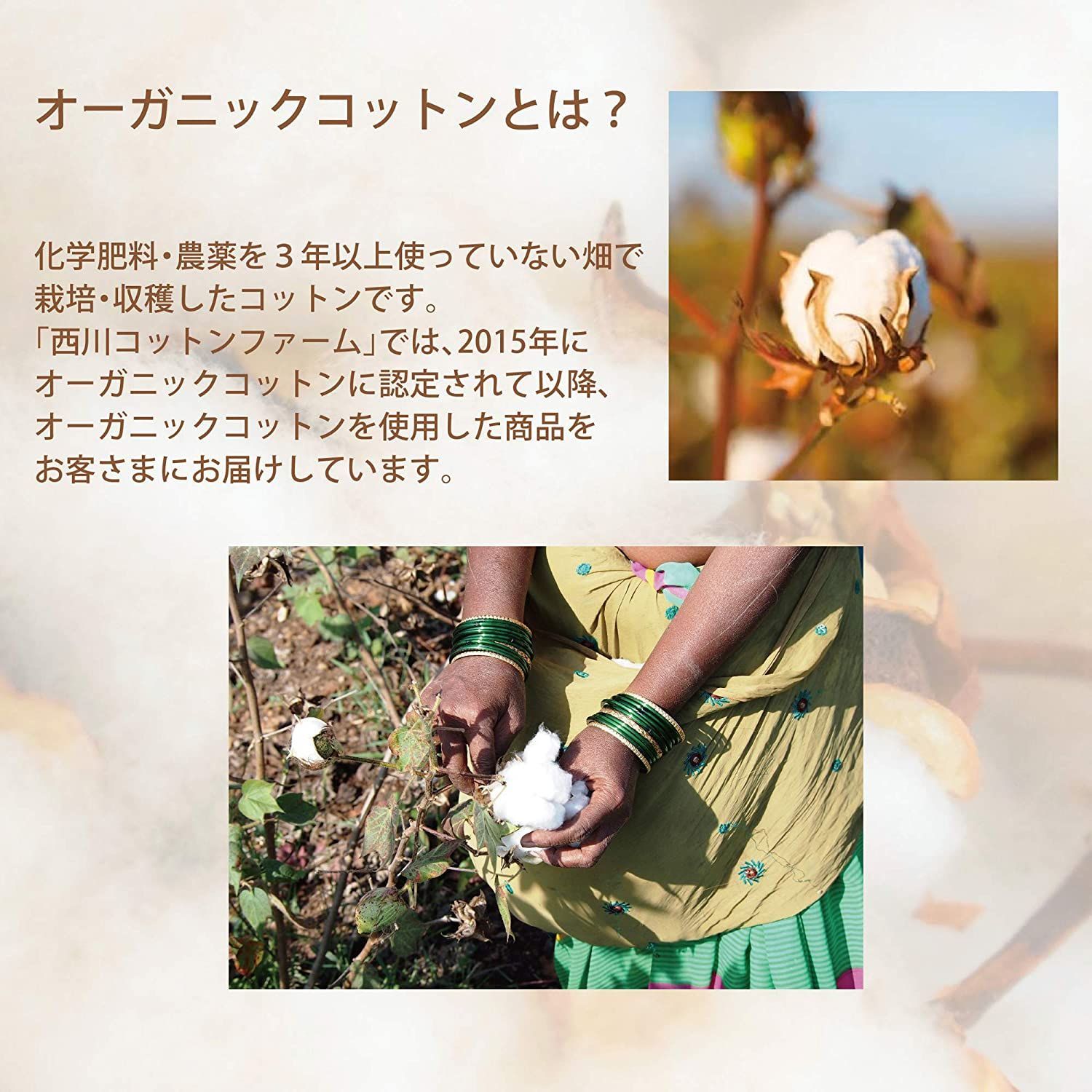 本州送料無料 西川 敷き毛布 シングル 日本製 オーガニックコットン 綿 シール織 ふんわり ふわふわ 柔らか