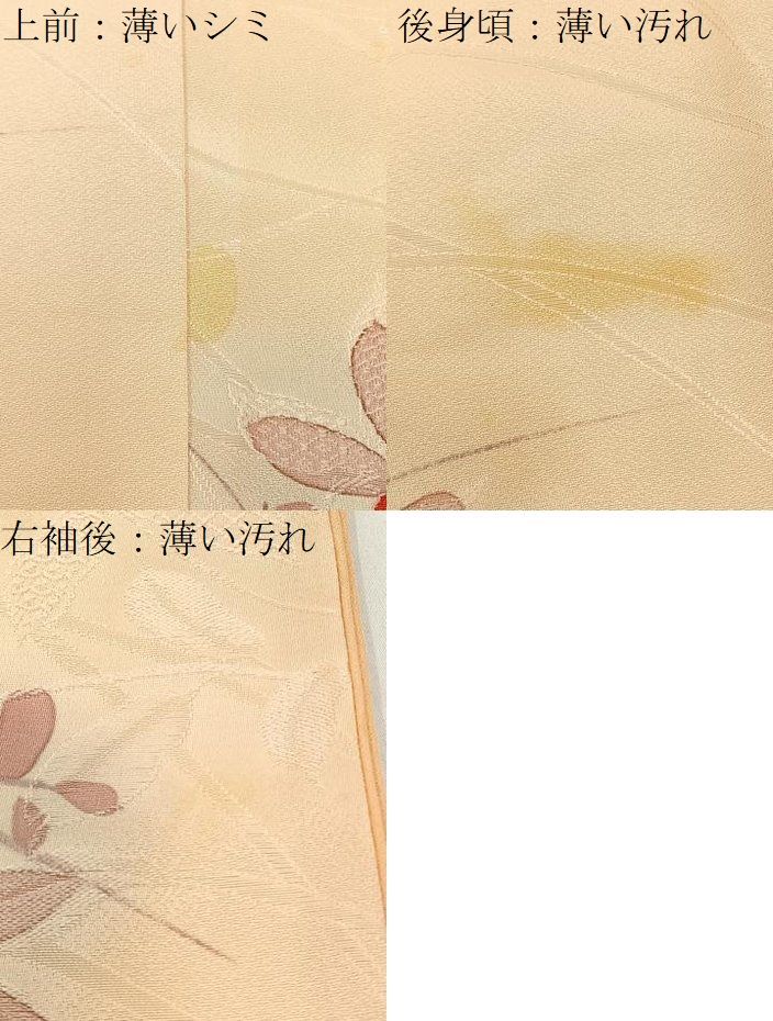 平和屋着物●上質な小紋　地紋起こし　草花文　金彩　正絹　逸品　AABH0819fy 平和屋着物□上質な小紋 地紋起こし 枝花文 正絹 逸品 BAAW9577hj