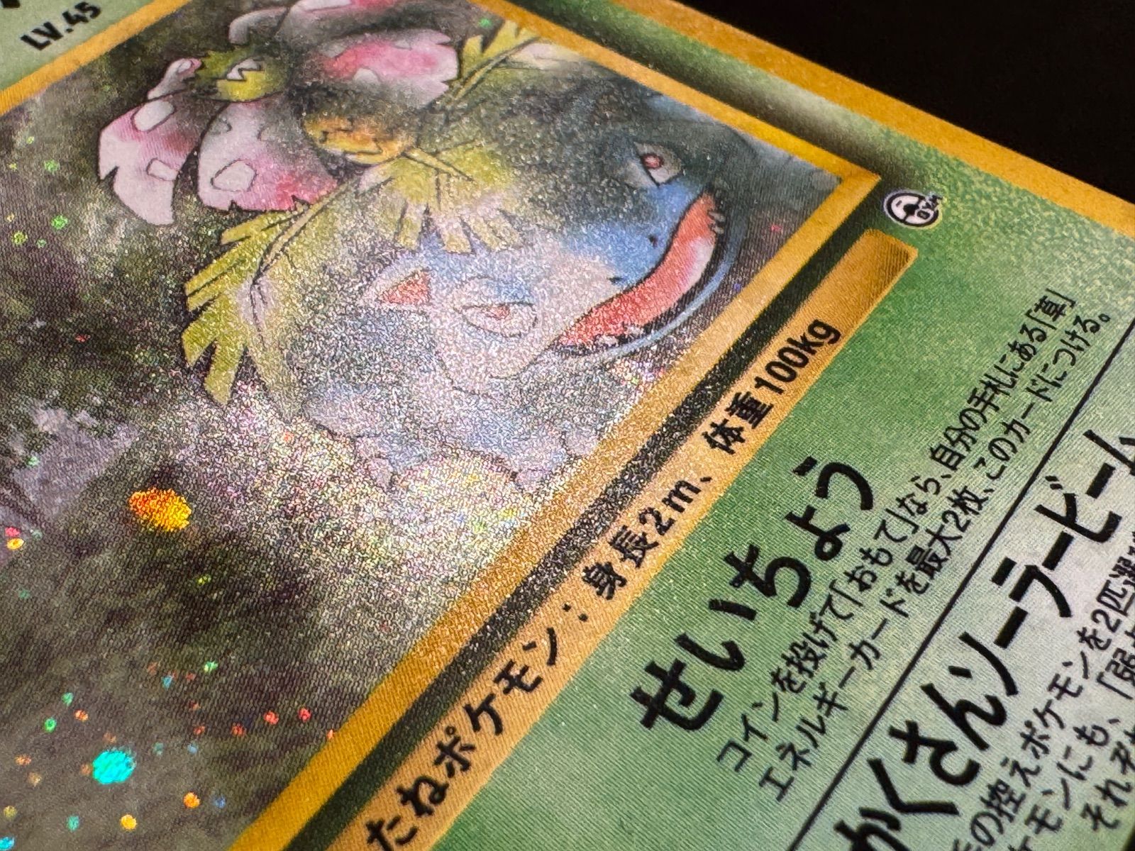 旧裏】エリカのフシギバナ LV.45 ☆ No.003 闇からの挑戦 ポケモン
