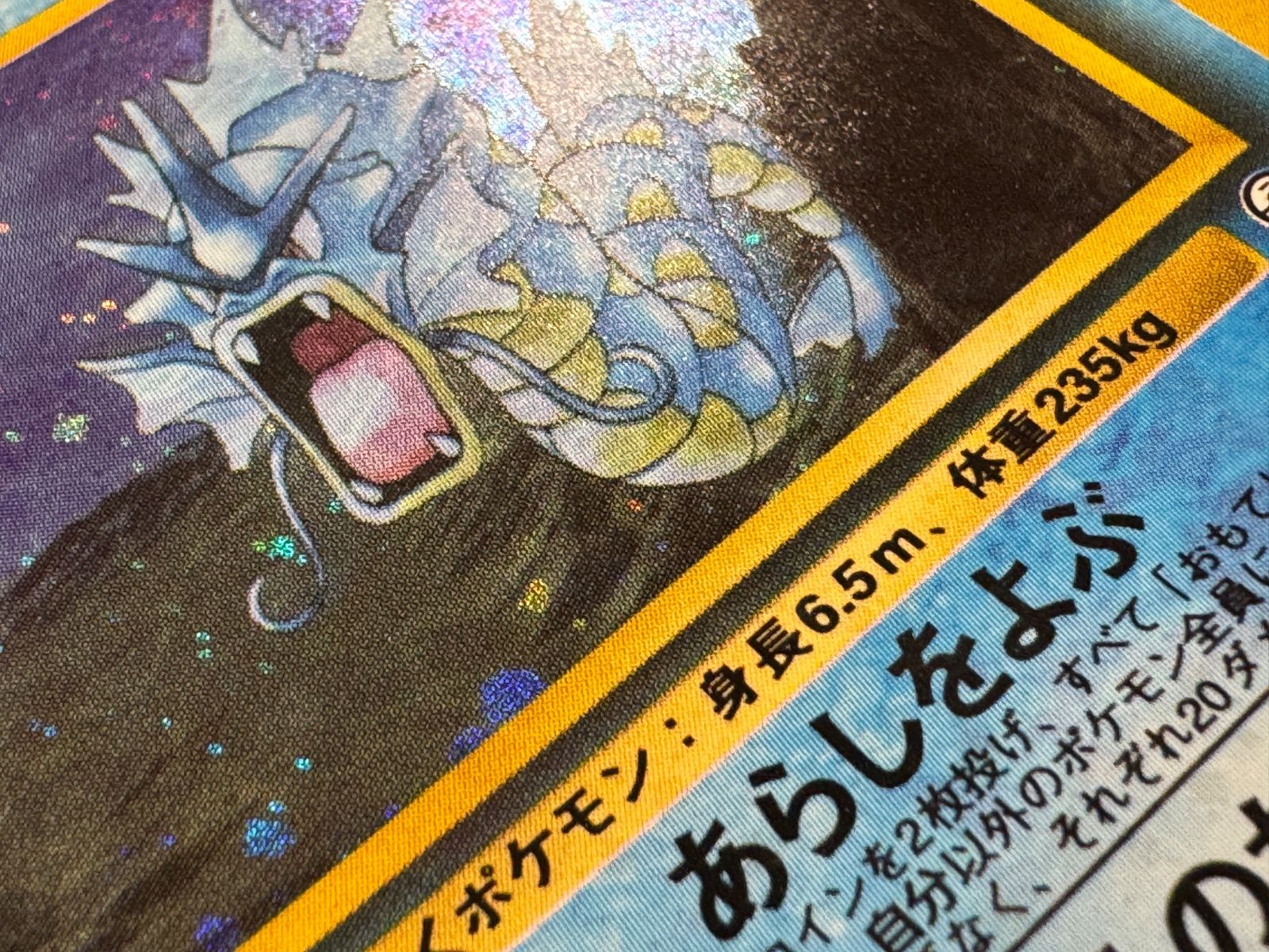 旧裏】 サカキのギャラドス LV.40 ☆ No.130 闇からの挑戦 ポケモン