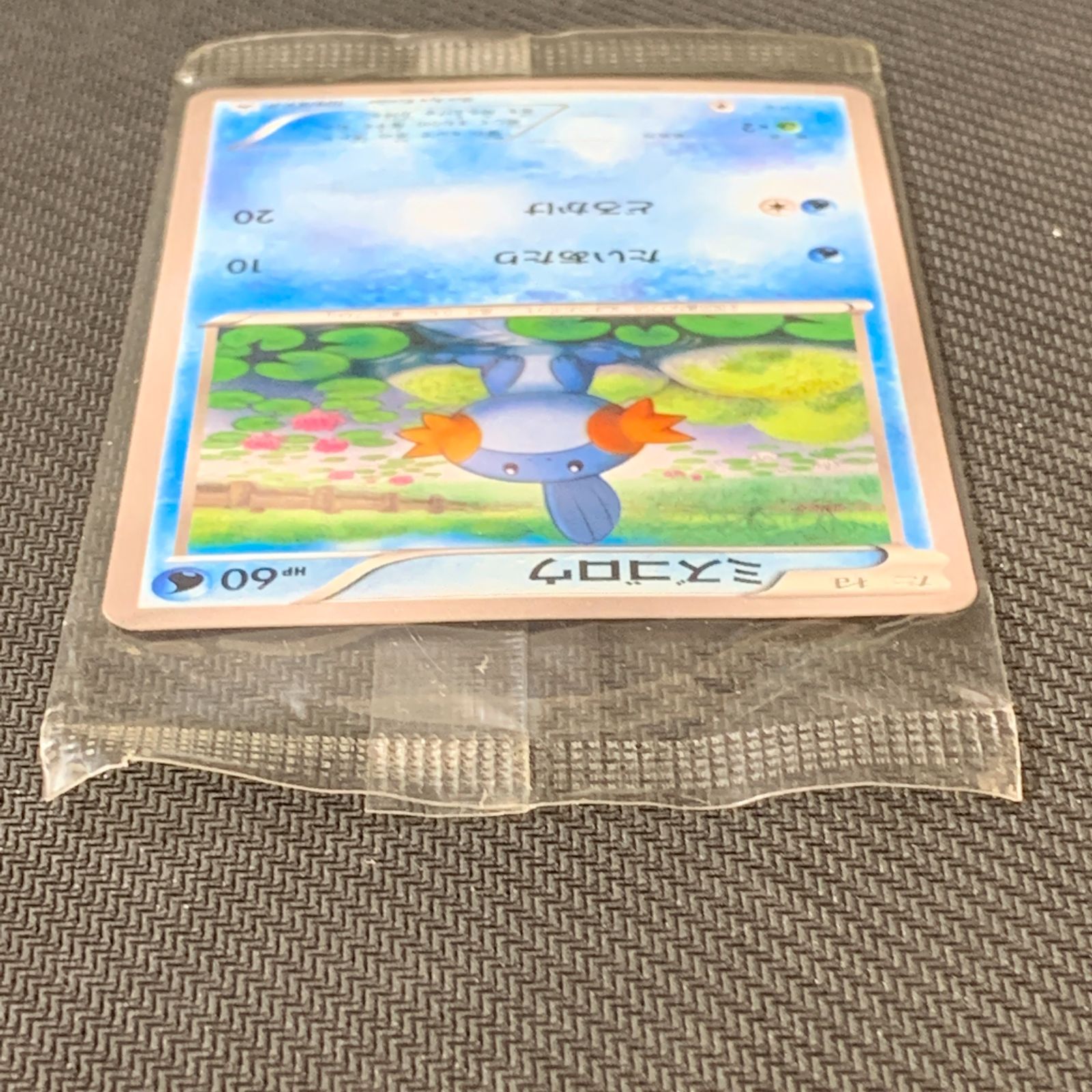 【未開封】ミズゴロウ ダブルクライシス 購入キャンペーン PROMO XYその1 むつ56-042530] ポケモンカード ミズゴロウ ダブルクライシス 購入