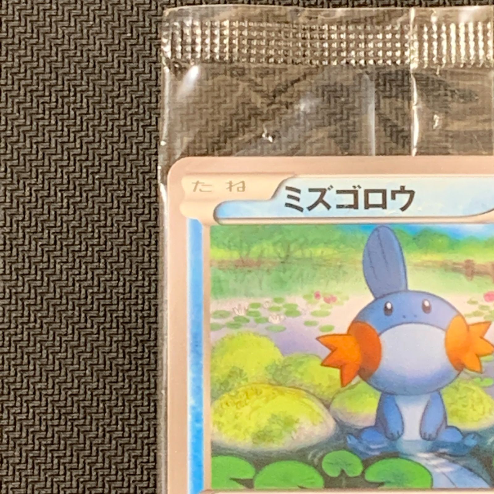 【未開封】ミズゴロウ ダブルクライシス 購入キャンペーン PROMO XYその1 むつ56-042530] ポケモンカード ミズゴロウ ダブルクライシス 購入