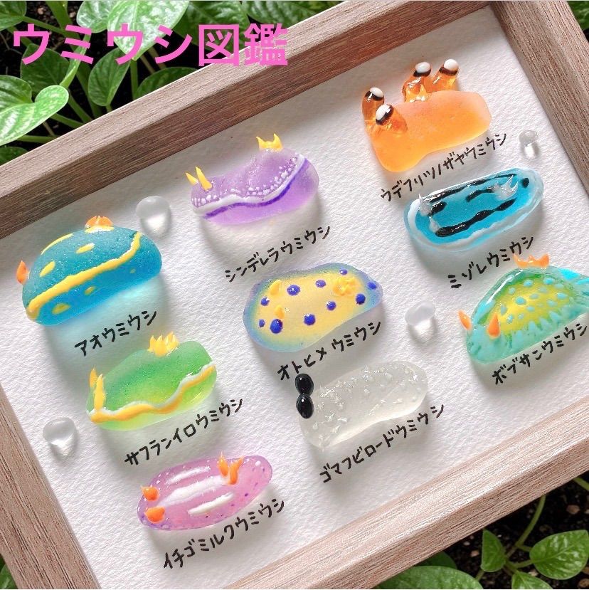 クーポンあり❣️ウミウシ図鑑❣️シーグラスアート お魚立体図鑑
