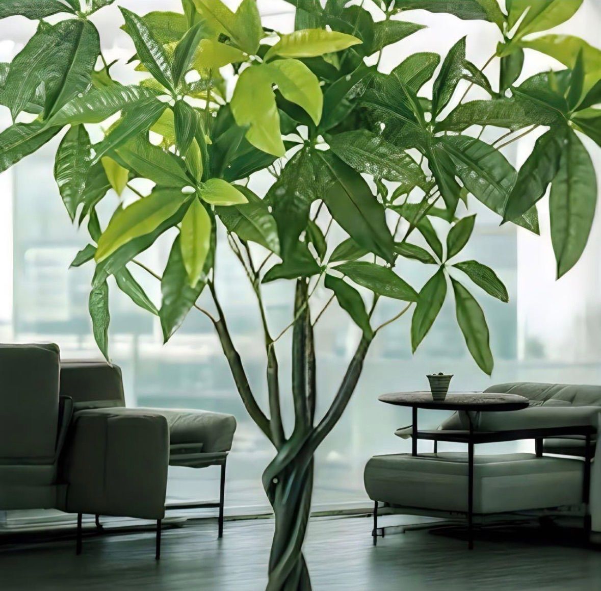光触媒　人工観葉植物　ウォールグリーン　フェイクグリーン　パキラポットL110 光触媒 人工観葉植物 ウォールグリーン フェイクグリーン パキラポット