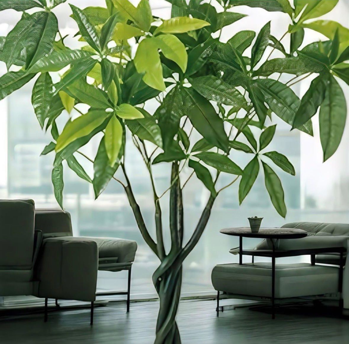 光触媒 人工観葉植物 ウォールグリーン フェイクグリーン パキラポット