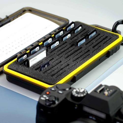 Switch ピカブイ版(SDカード、ケース等おまけ付き) SWITCH用ゲームカードケース／ブラック | ゲーム用ケース | ゲーム関連