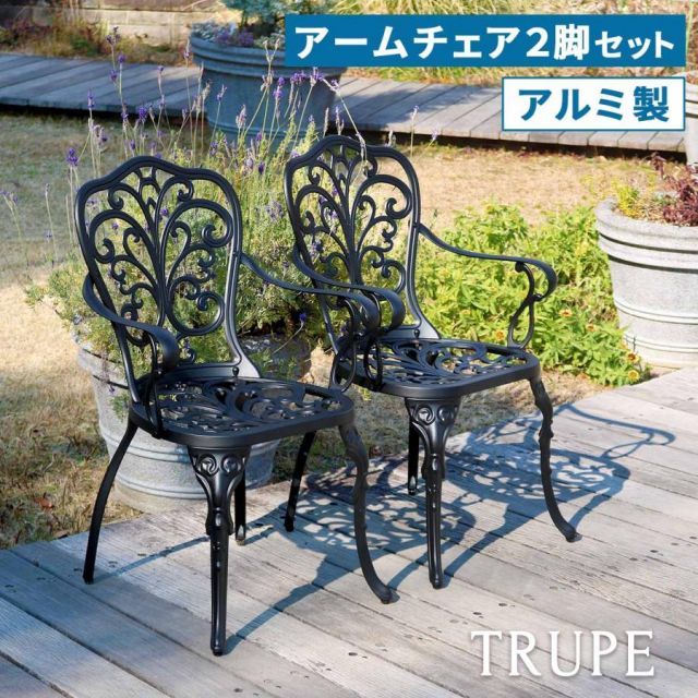 アルミ製アームチェア 2脚セット 「トルペ」 BKS-C5289-2P