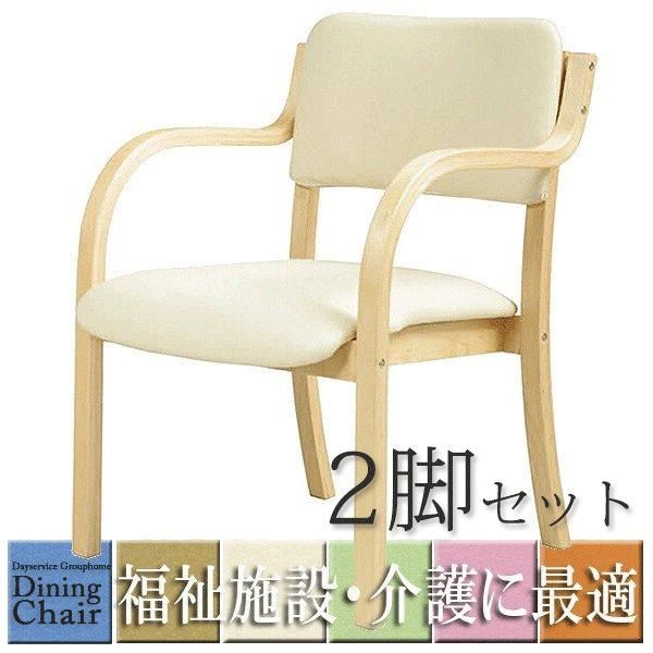 肘付ダイニングチェア 福祉 介護 椅子 施設 デイサービス DC-530P 介護 椅子 肘付 食堂 椅子 同色2脚セット