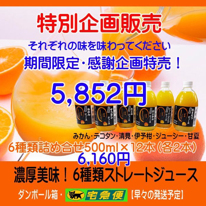 みかんジュース1000ml×6本×2箱 濃厚美味：濃縮還元してません みかん