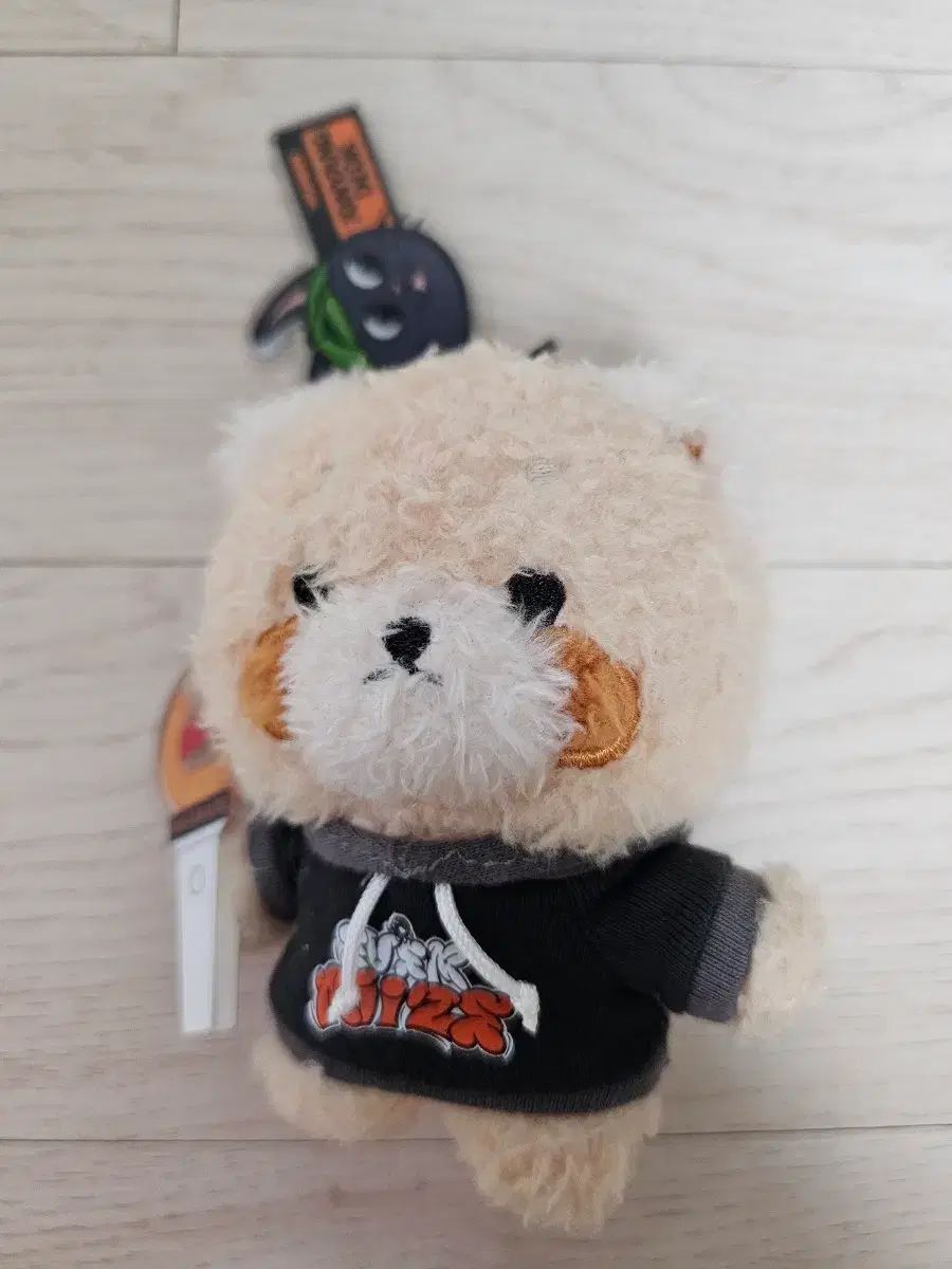 RIIZE（ライズ） ウォンビン(WONBIN) EVERLAND キーホルダー 出品-販売