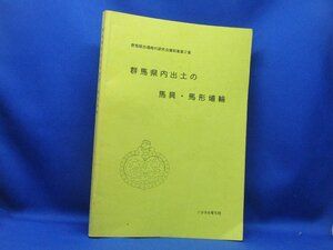 群馬県内出土の馬具・馬形埴輪　21706