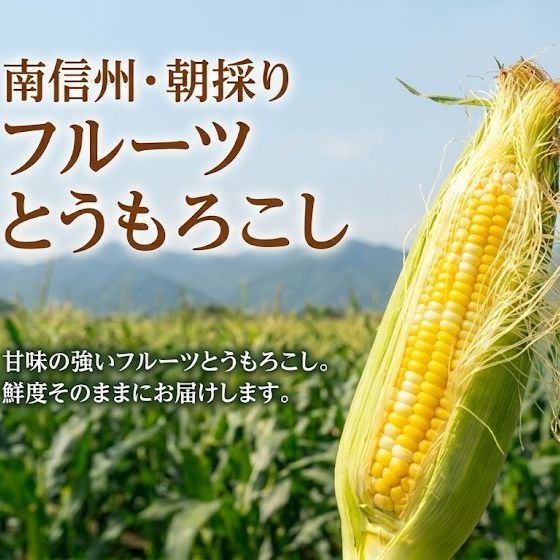 フルーツとうもろこし　20本
