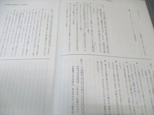 早稲田アカデミー　東京都立必勝コース　正月特訓　社会・数学 正月特訓 | 小5・小6（中学受験）・中2・中3・高2・高3 | 進学塾・学習