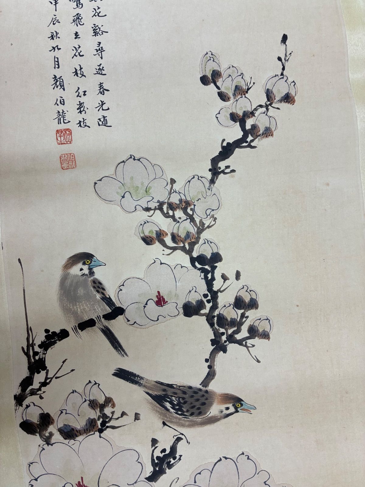 四尺中堂 中国花鳥画 田世光 紅葉白猿図 掛軸 証書付 四尺中堂 中国