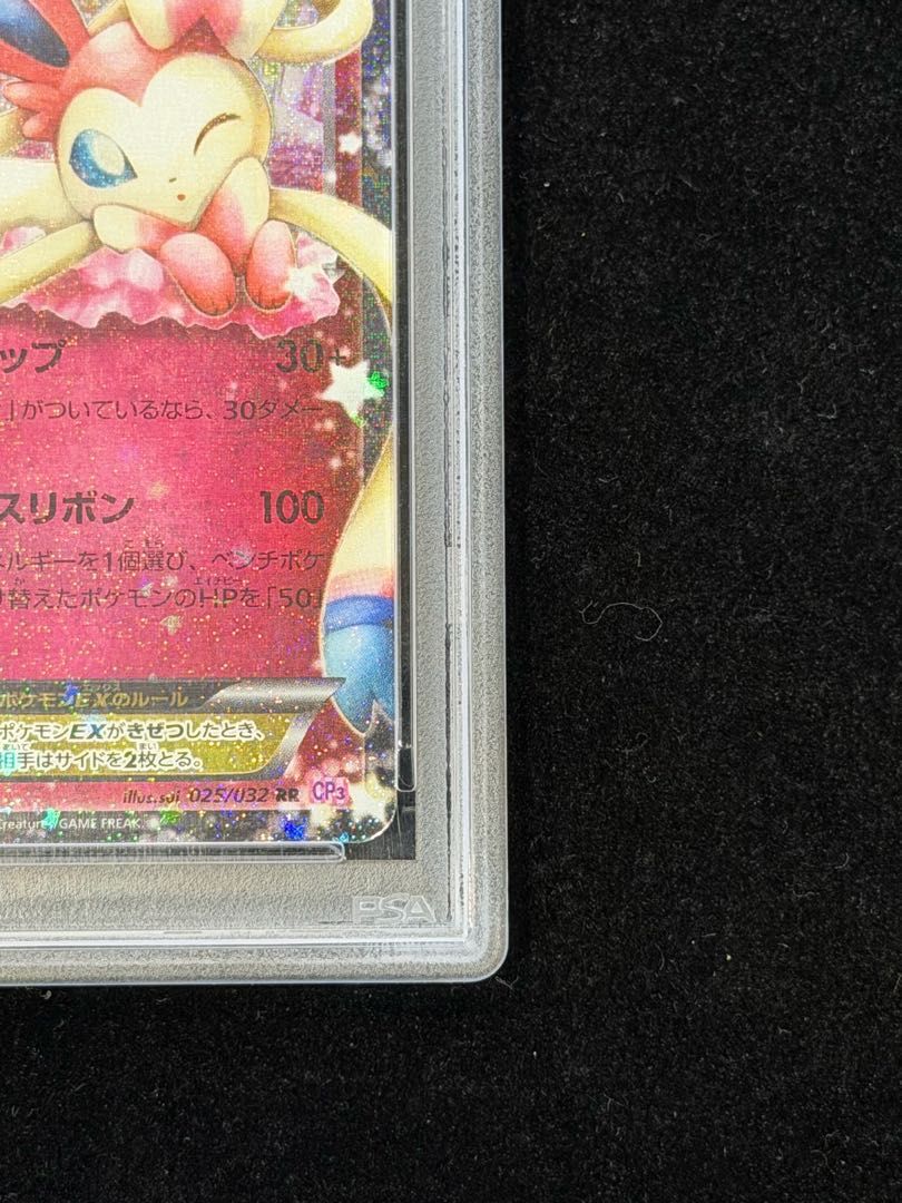 p*6様 活着【週末オークション】②REZA産　イラン　アガベ　グリフィン　マス p*6様 活着【週末オークション】②REZA産 イラン アガベ グリフィン