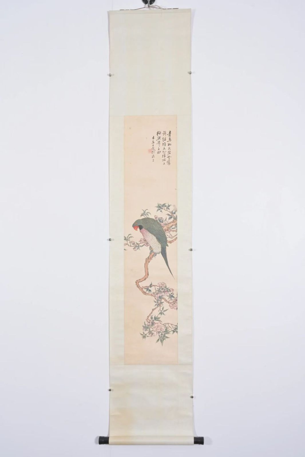 中国美術 掛軸 高野侯 枝鳥図 設色紙本 西泠印社 花鳥画 在銘 木箱付