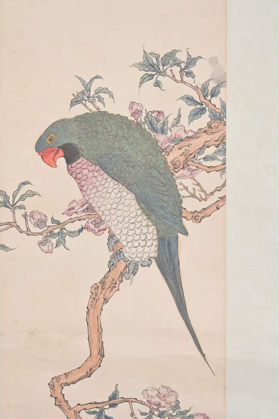 中国美術 掛軸 高野侯 枝鳥図 設色紙本 西泠印社 花鳥画 在銘 木箱付