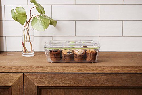 FoodSaver 【公式】 真空パック容器 フレッシュボックス 10カップ 保存