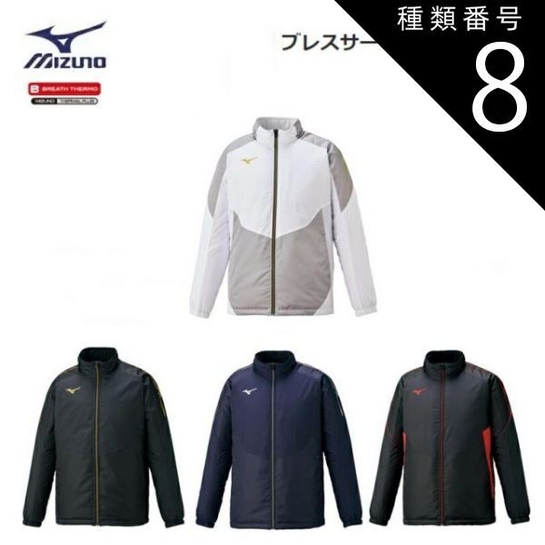 青山龍水 肉筆 油彩画 一点物 少女と小鳥 新品額装品