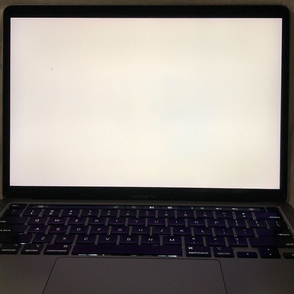 ジャンク】MacBook Pro 13