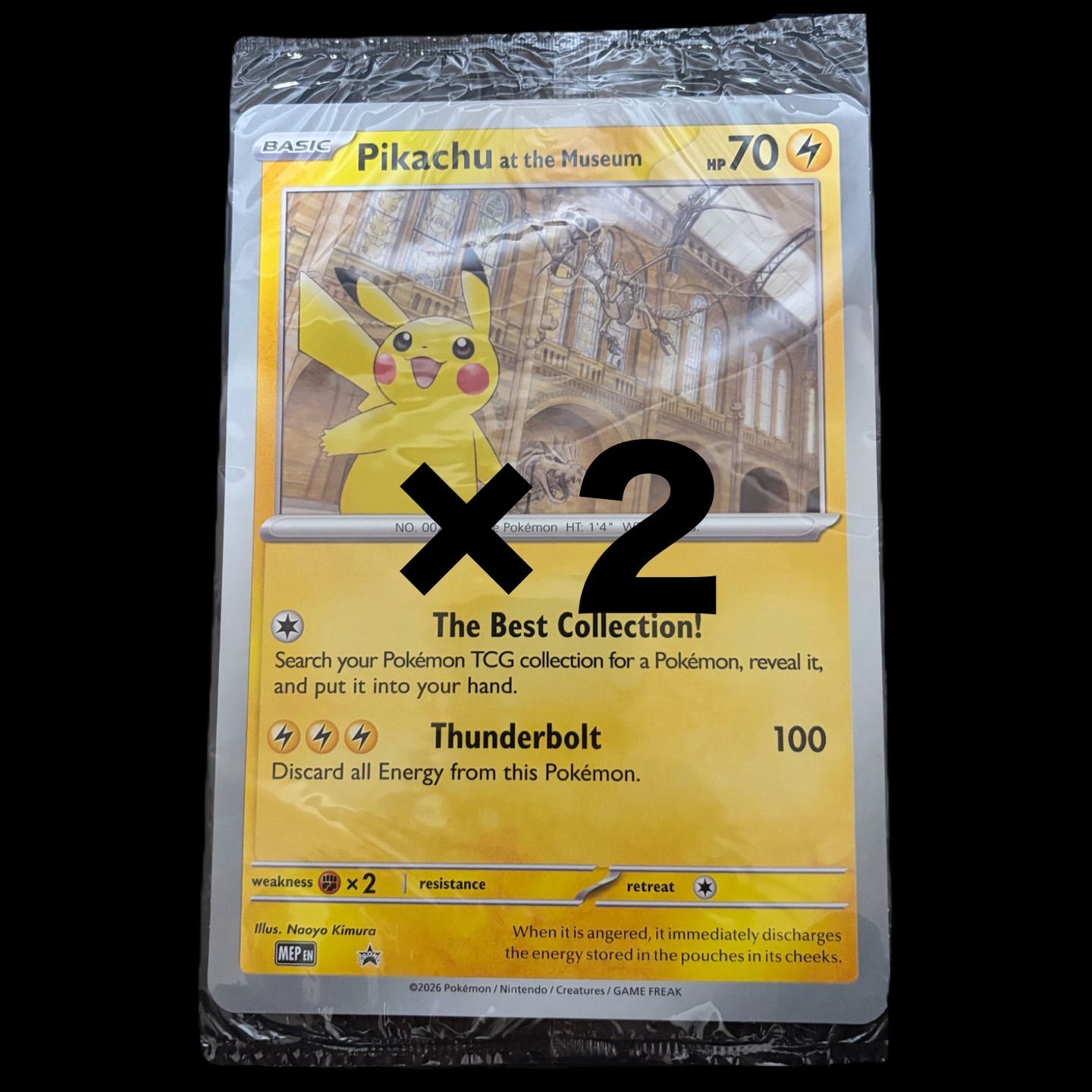 即納】2枚セット 新品未開封 ポケモンカード ピカチュウ プロモ 自然史