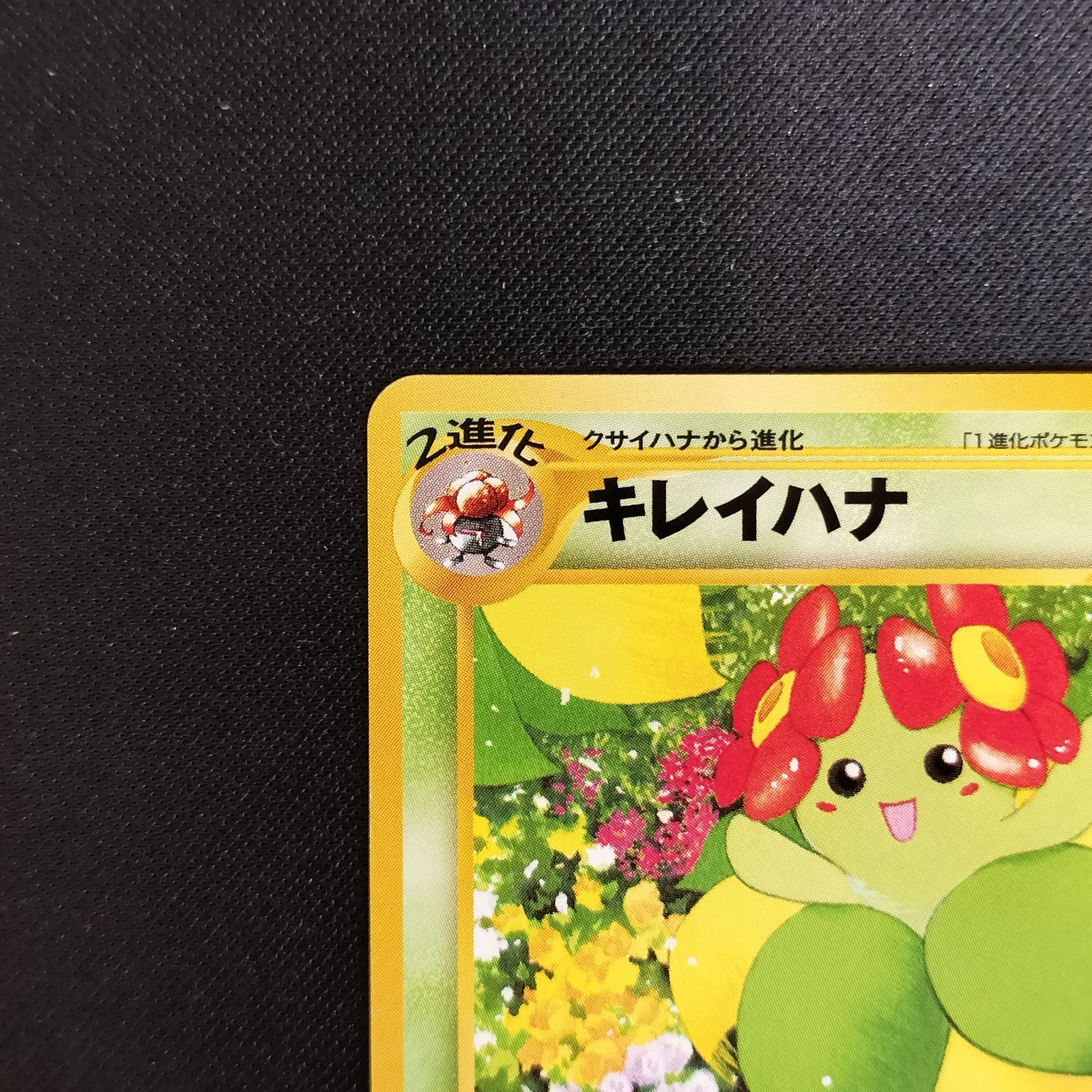 ポケモンカードneo ポスター インフォメーションパック キレイハナ プロモ I274【ポケモン カード】 キレイハナ インフォメーションパック おまけ